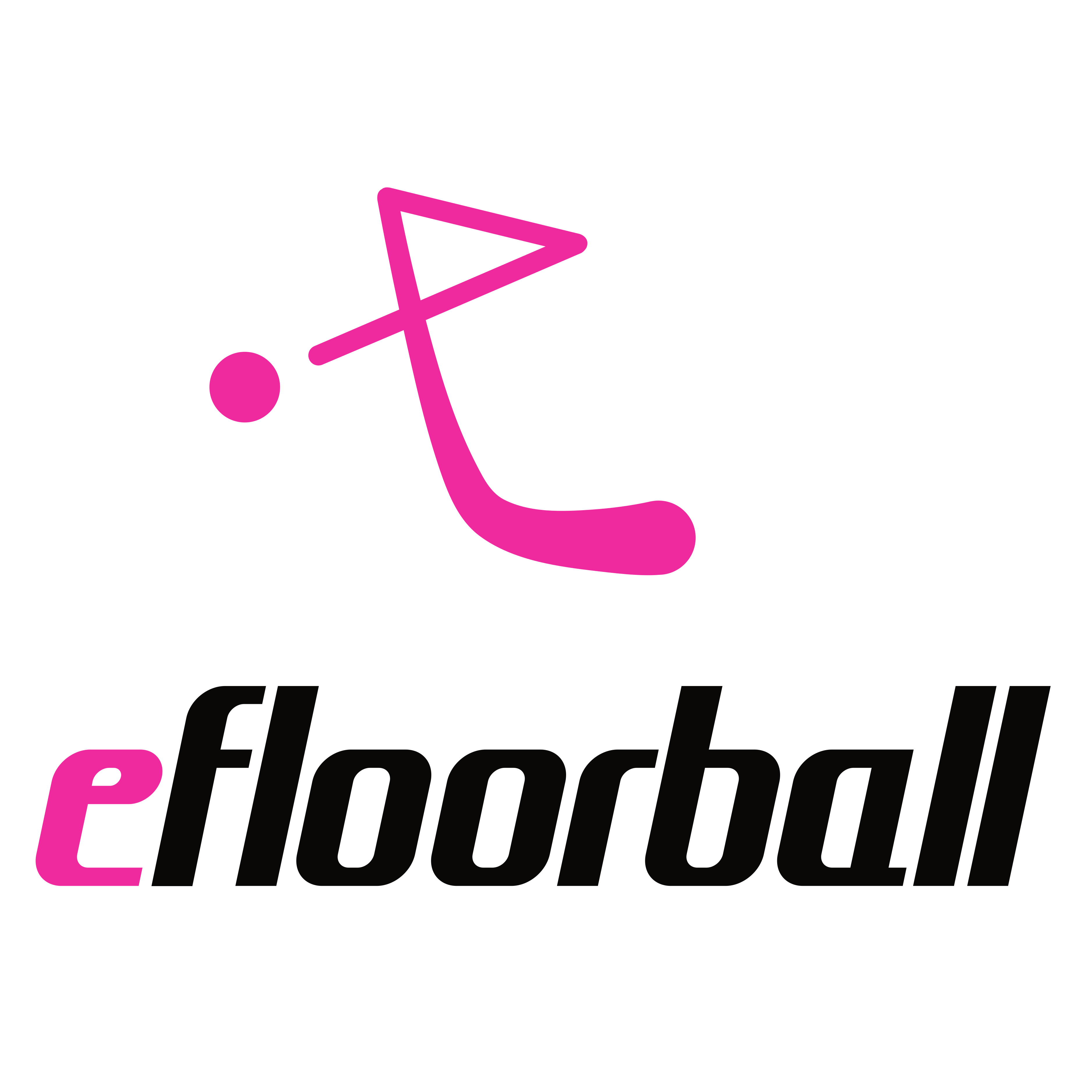 efloorball